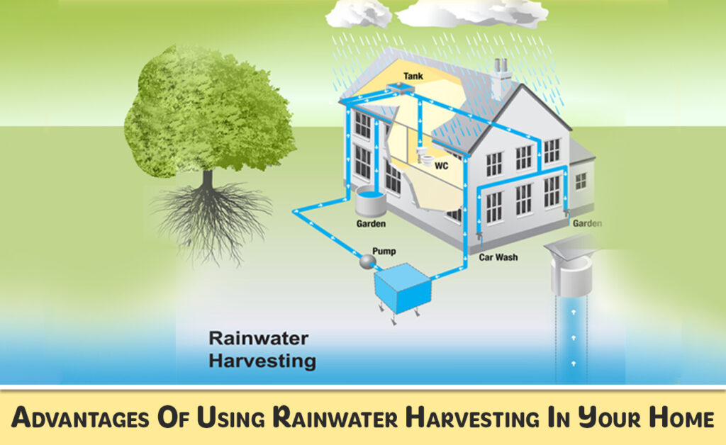 Innovative Solutions for Rain Water Harvesting