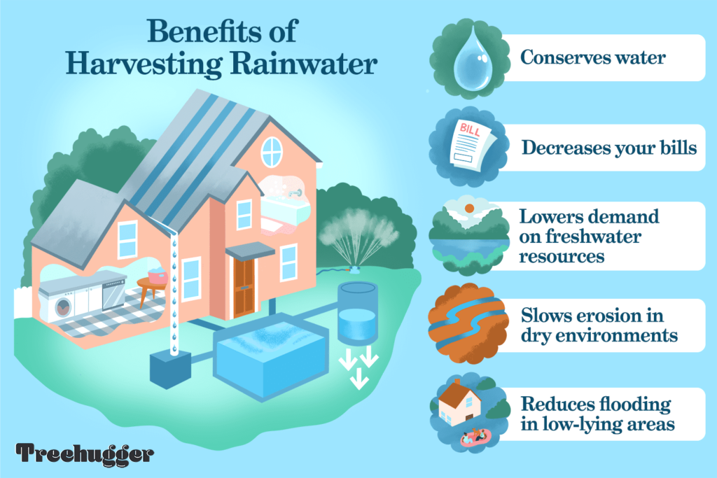 The Essential Guide to Rain Water Harvesting