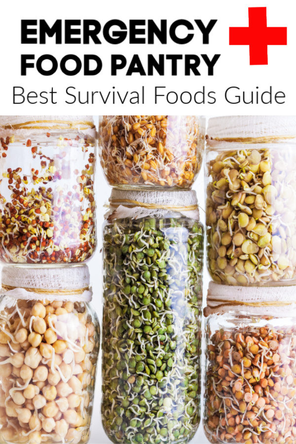 Top Foods for Long-Term Survival Food Preservation